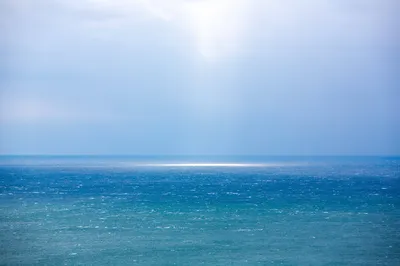 一起去大連，看海