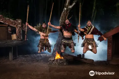 Te Pā Tū