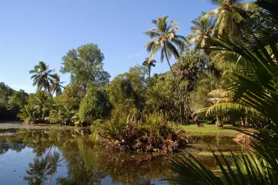 Cairns Botanic Gardens.