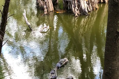 Kabah Ecological Park