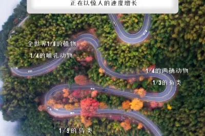 九华山的低碳“黑科技”，简直了！