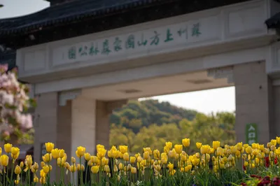 蘇州上方山國家森林公園