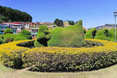 Zarcero, Evangelista Blanco Brenes Park