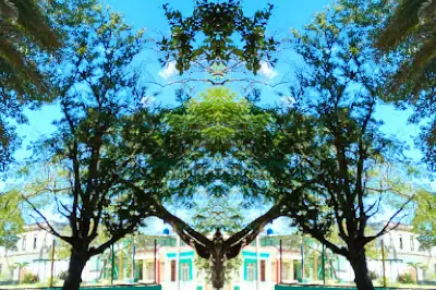 Parque Butari