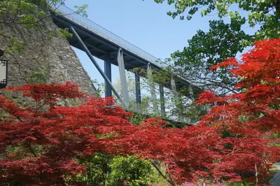 南京明城牆——中山門至太平門