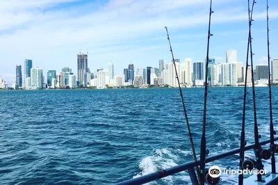 The Reward Fishing Fleet