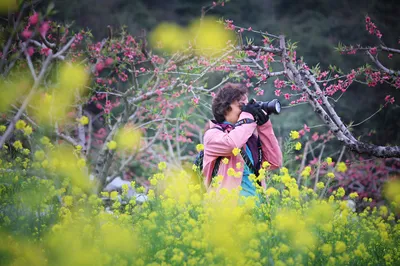 2024 Blooming to Meet You || Lianping Wengyuan Ink Wash Peach Blossom Photography Tour
