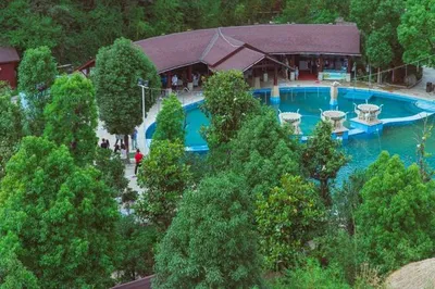 Open-air Forest Hot Springs in Kunming: 1 Yuan for a Soak, but You Need a Special 'Document'!