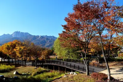 Seoul Iris Garden
