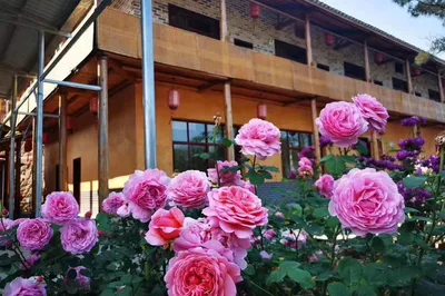 Changsha Farmhouse Day Trip: Picnic, BBQ, Team Building, and Outdoor Expansion