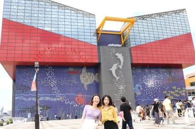 Luxury Osaka Sightseeing Classic Route