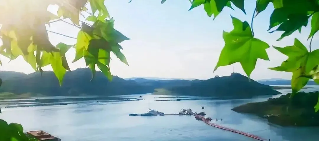 一卡在手，玩转太极湖