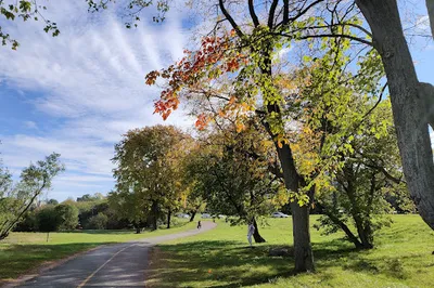 Remic Rapids Park