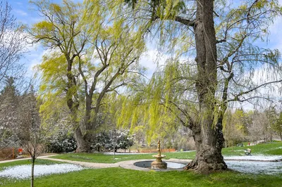 Edwards Gardens