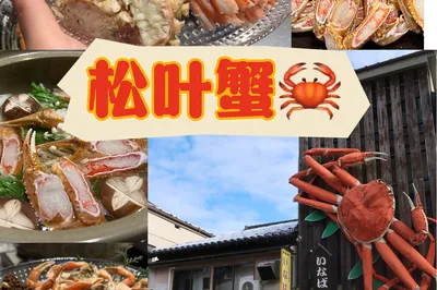 Think Kani Doraku is the only option in Japan? Come enjoy a sweet Matsuba crab feast!