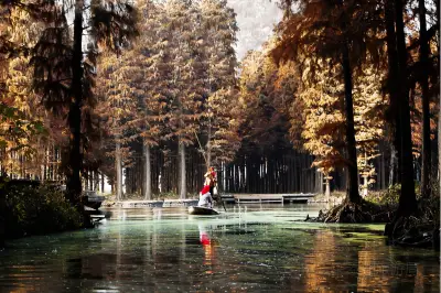 Lizhong Water Forest Scenic Spot