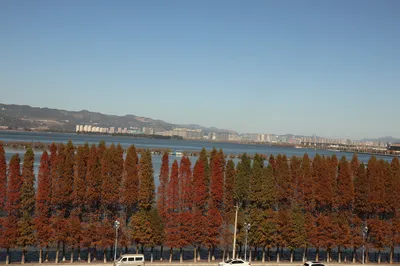 First Glimpse of the Distant Mountain Terraces
