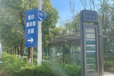 紫曰-薰衣草庄园