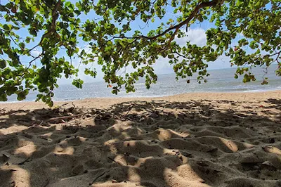 Angel Cove, Trinity Beach Foreshore