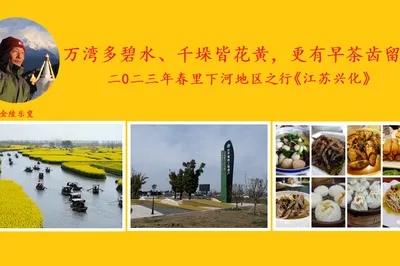 Thousands of Bays of Clear Water, Thousands of Mounds of Yellow Flowers, and Morning Tea Leaves a Fresh Aftertaste! Spring 2023 Trip to the Lixia River Region. Part 1: Xinghua, Jiangsu