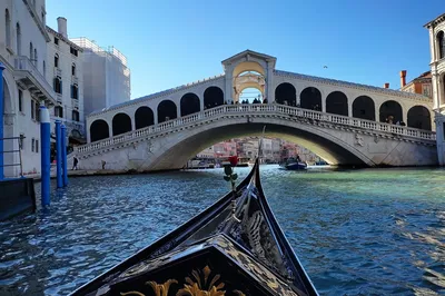Organization for Conservation of Gondola