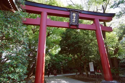 根津神社