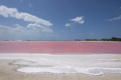 粉红湖