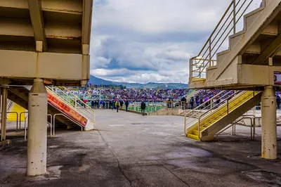 ACF Fiorentina