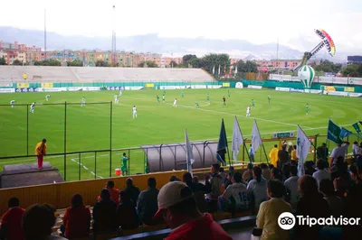 Estadio Metropolitano de Techo
