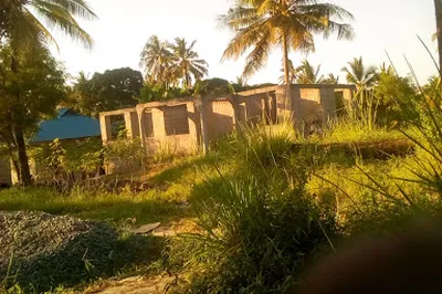 Goba Njia Nne