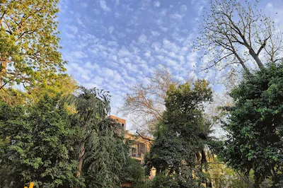 Mirabai Park