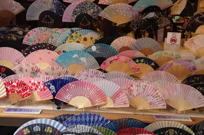 A Ten-Day Tour of Six Japanese Cities