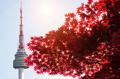 Maple Leaf Viewing in Seoul