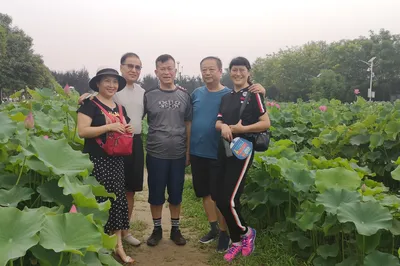 Qinzhen, Lotus Garden, Kunming Pool – A Self-Drive Day Trip to Xi'an's Suburbs with Old Friends