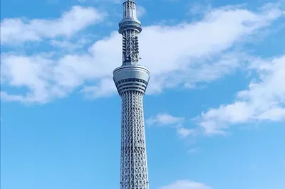 初遇日本—東京到大阪7日淺遊之旅（回憶篇）
