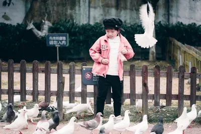 Three Days and Two Nights Aren’t Enough—This Grand Garden in Xiangtan Lets You Feed Peacocks and Stay in RVs, So Much Fun