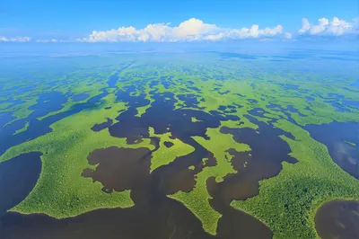 Everglades National Park