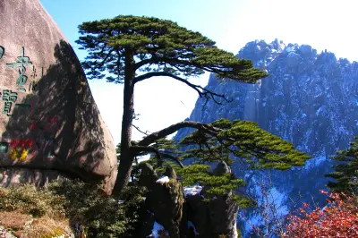 遇见大美中国 感受诗和远方 行走祖国大地系列之一   综合篇 （8）三山五岳（上）