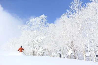 How to Choose Ski Lift Tickets for Rusutsu Resort Ski Area in the 2023-24 Snow Season