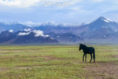 Where to Go for Summer Vacation? A Summer Escape Guide to Golmud, Qinghai, Ready for You – Stunning Scenery, Fewer Crowds, Truly Recommended