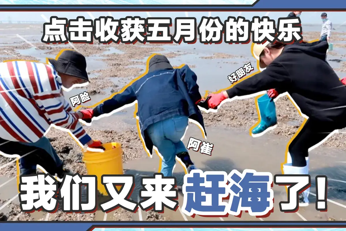 五月赶海记，点击收获快乐～