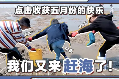 五月赶海记，点击收获快乐～