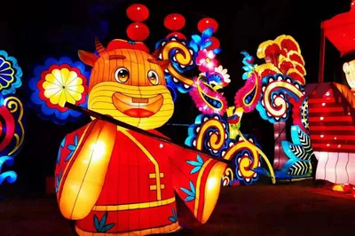 How to Have a Wonderful Spring Festival? People in Jingzhou, Come Here and Find Out!