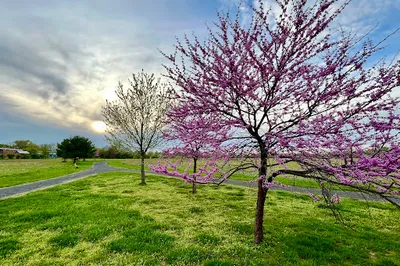 Benjamin Rush State Park