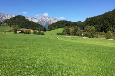 Across the Alps: A Self-Drive Journey Through Germany, Austria, Switzerland and France – Driving Guide