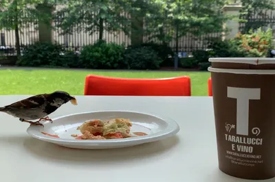與鳥共食 Cooper Hewitt Smithsonian Design Museum