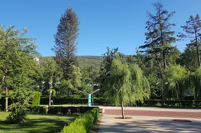 Media library of Vake
