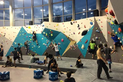 BONOBO climbing