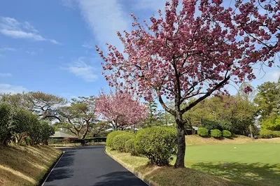 Nagoya Golf Club Course