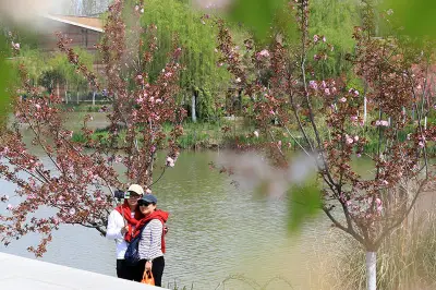 春游楼观，看非遗赏花海品美食逗秦岭四宝亲测打卡旅游攻略